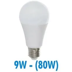 VISION-EL Ampoule Led E27 9W (80W) Vision EL | Température De Couleur: Blanc Chaud 3000K